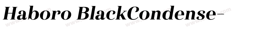 Haboro BlackCondense字体转换
